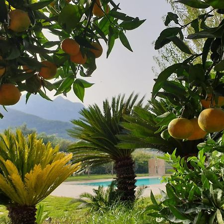 Terra Vitale Cava deʼ Tirreni Esterno foto