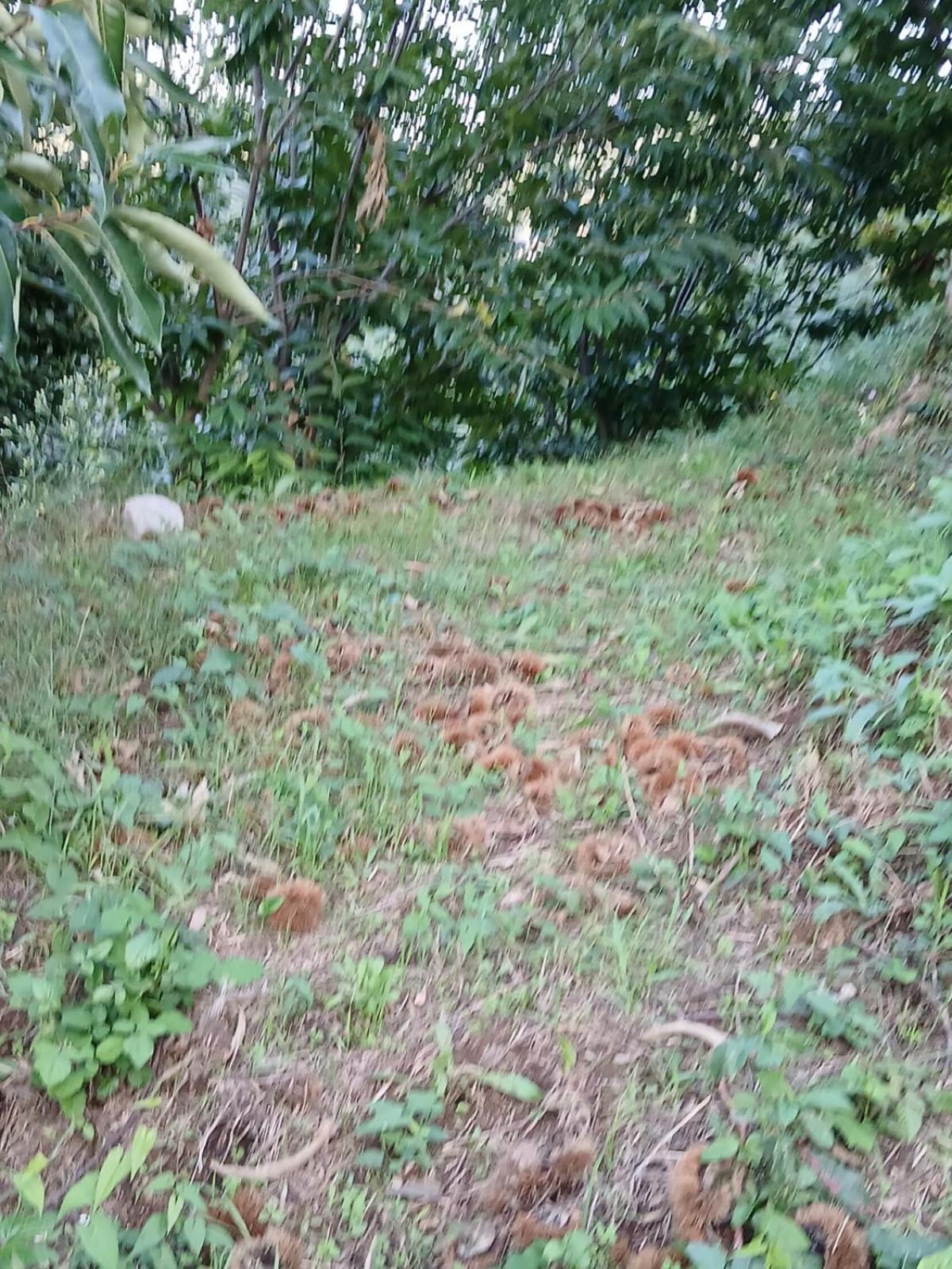 Terra Vitale Cava deʼ Tirreni Esterno foto