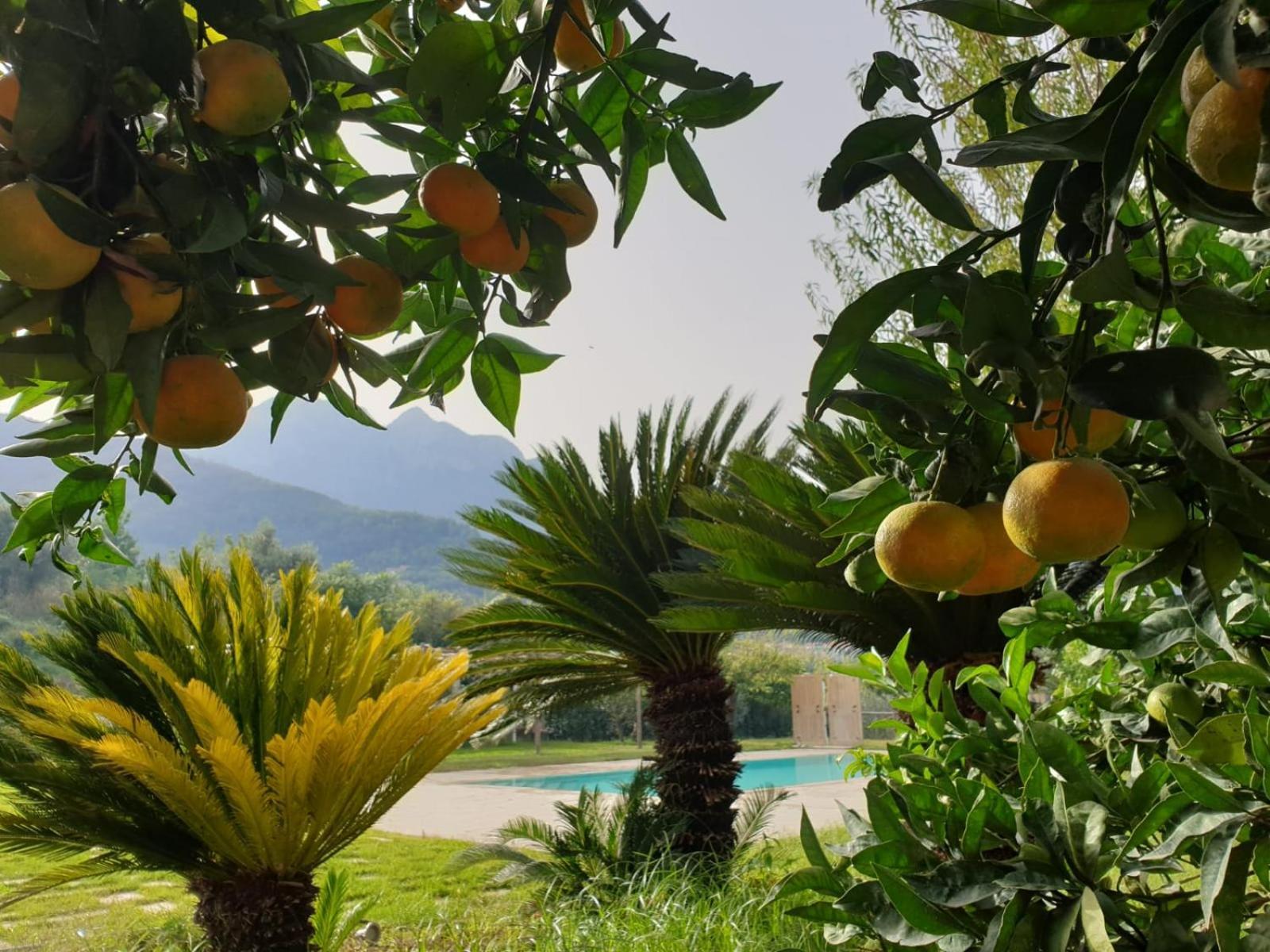 Terra Vitale Cava deʼ Tirreni Esterno foto