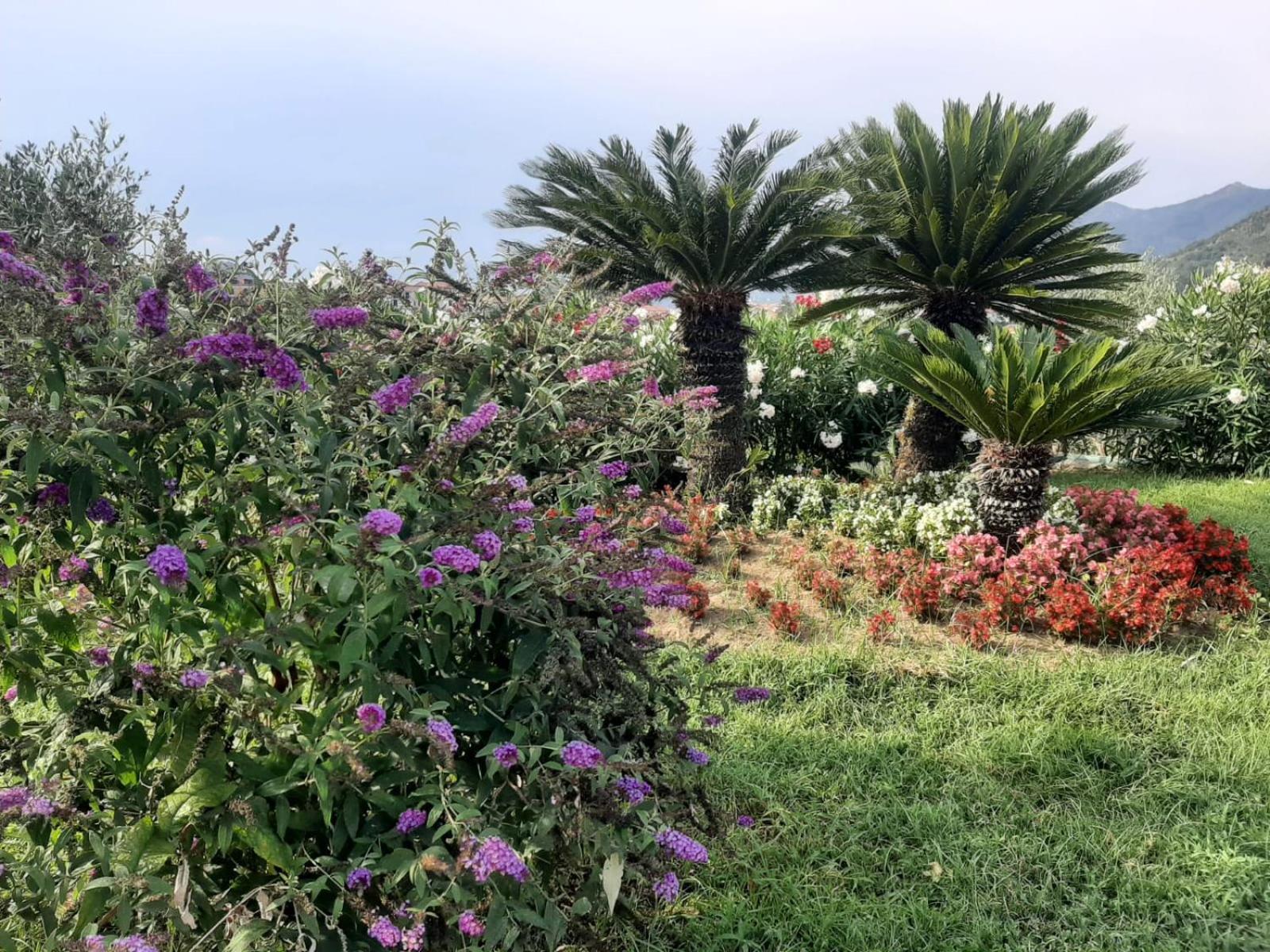 Terra Vitale Cava deʼ Tirreni Esterno foto